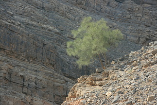 IMG 7199