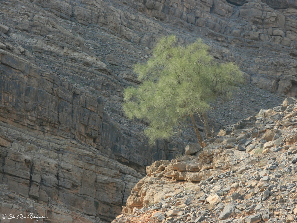 IMG 7199