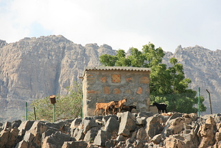 IMG 7201