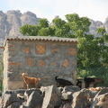 IMG 7208