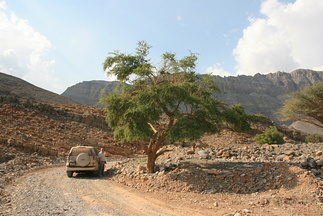 IMG 7210