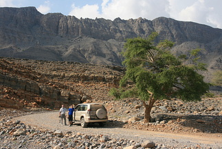 IMG 7218
