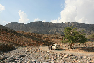 IMG 7219