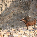 IMG 7233