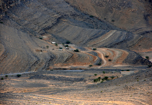 IMG 7244