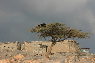 IMG 7329