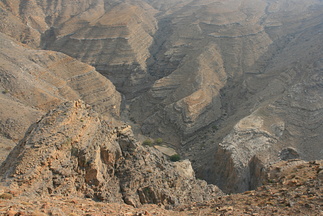 IMG 7303