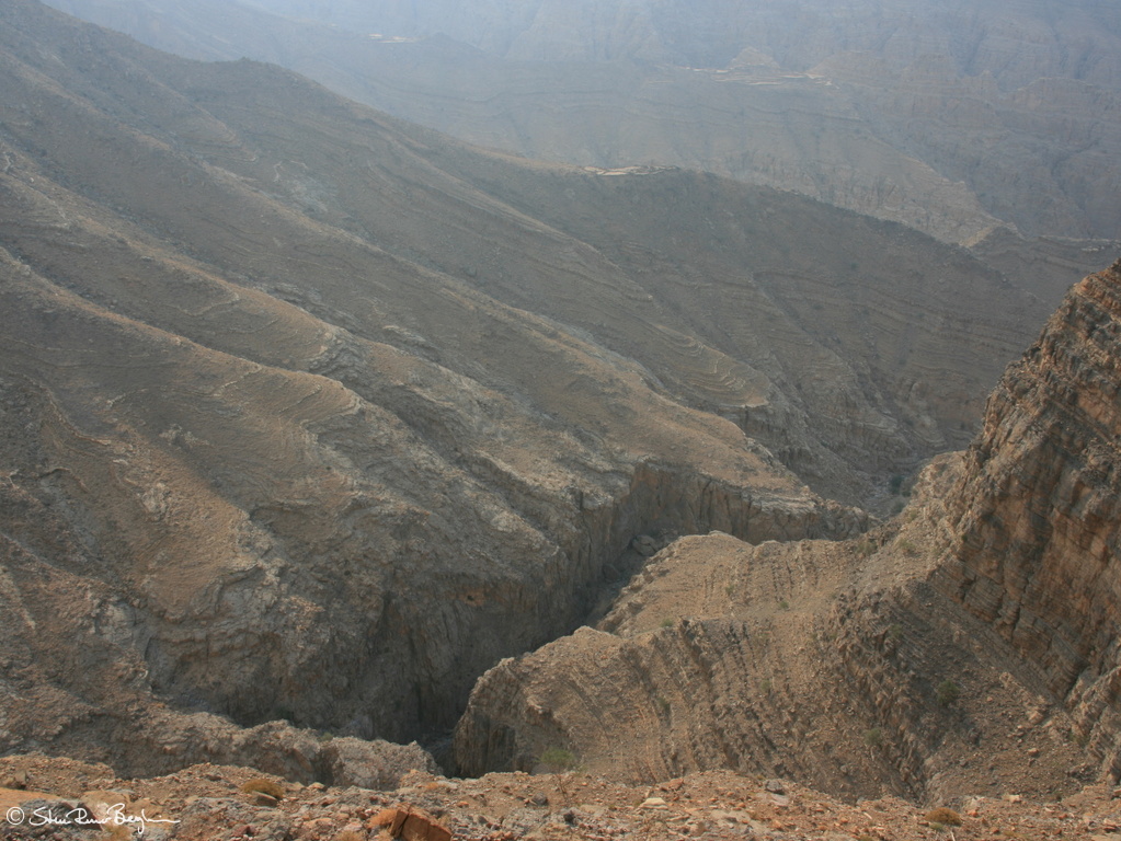 IMG 7306