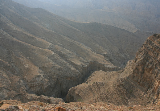 IMG 7306