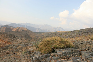 IMG 7320