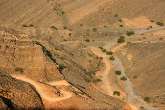IMG 7331