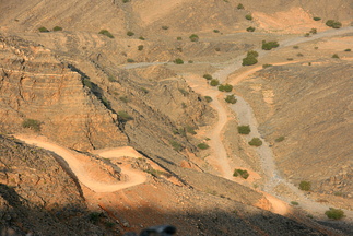 IMG 7332