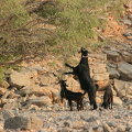 IMG 7338