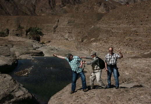 IMG 8956