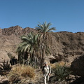 IMG 8961