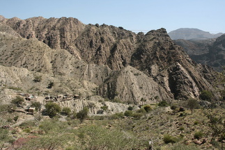 IMG 9087
