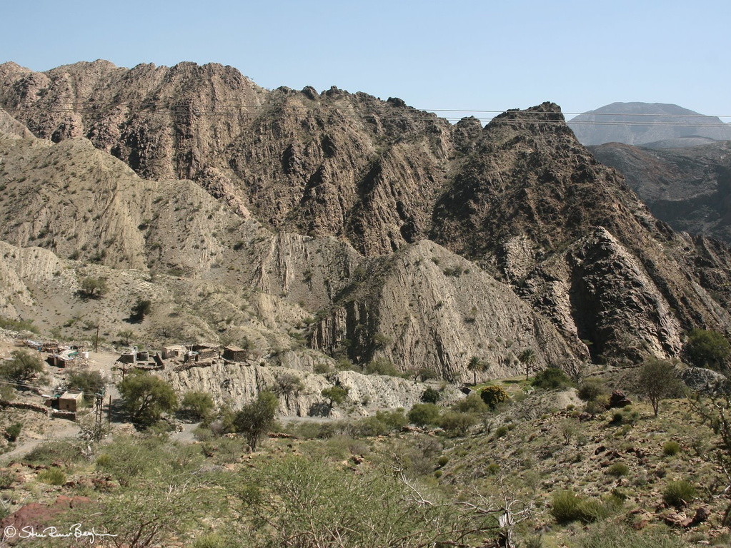 IMG 9087