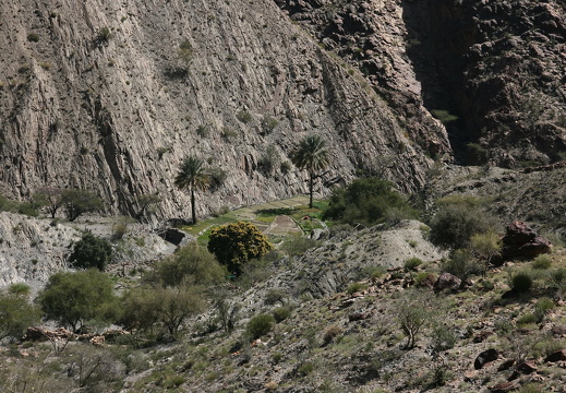 IMG 9090