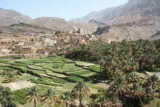 IMG 9155
