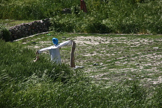 IMG 9177