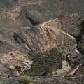 IMG 9231