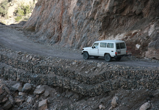 IMG 9236