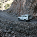 IMG 9237
