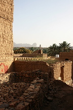 IMG 9254