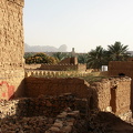 IMG 9254
