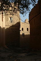 IMG 9261