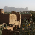 IMG 9269
