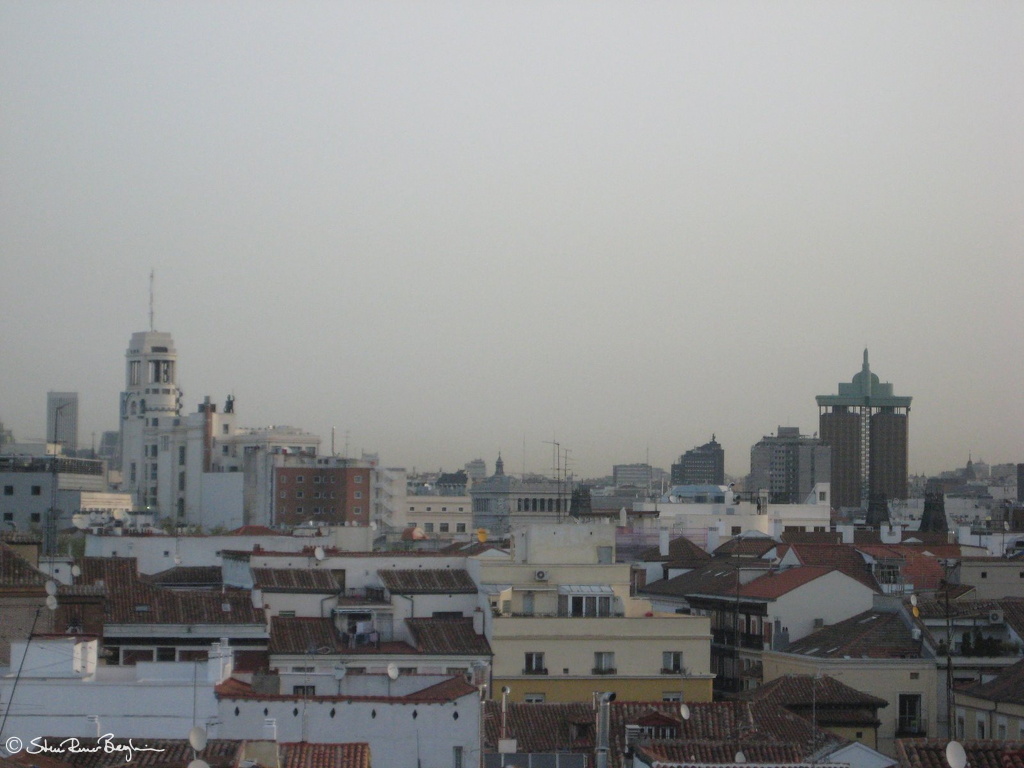 IMG 4343