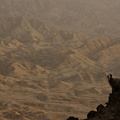 Goat on steep hillside in Wadi al Sahtan