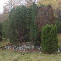IMG 3426