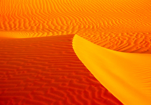 Colorful dunes at sunset in the desert between Abu Dhabi and Al Ain