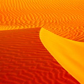 Colorful dunes at sunset in the desert between Abu Dhabi and Al Ain