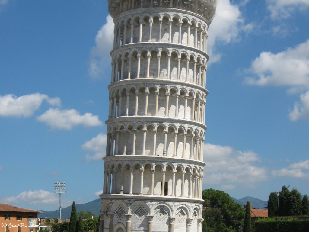 IMG 3114