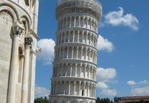 IMG 3119