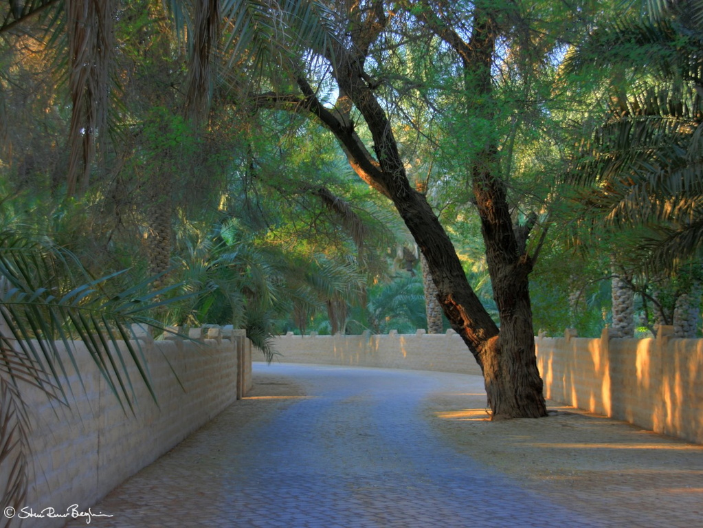 IMG 5962 3 4 tonemapped