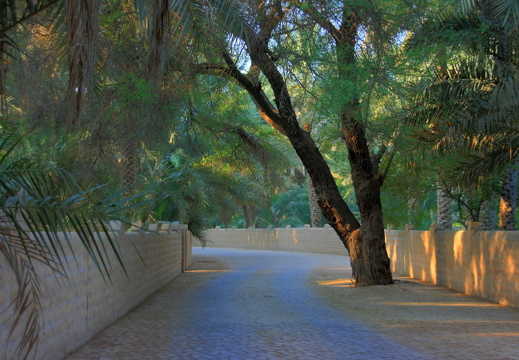 IMG 5962 3 4 tonemapped
