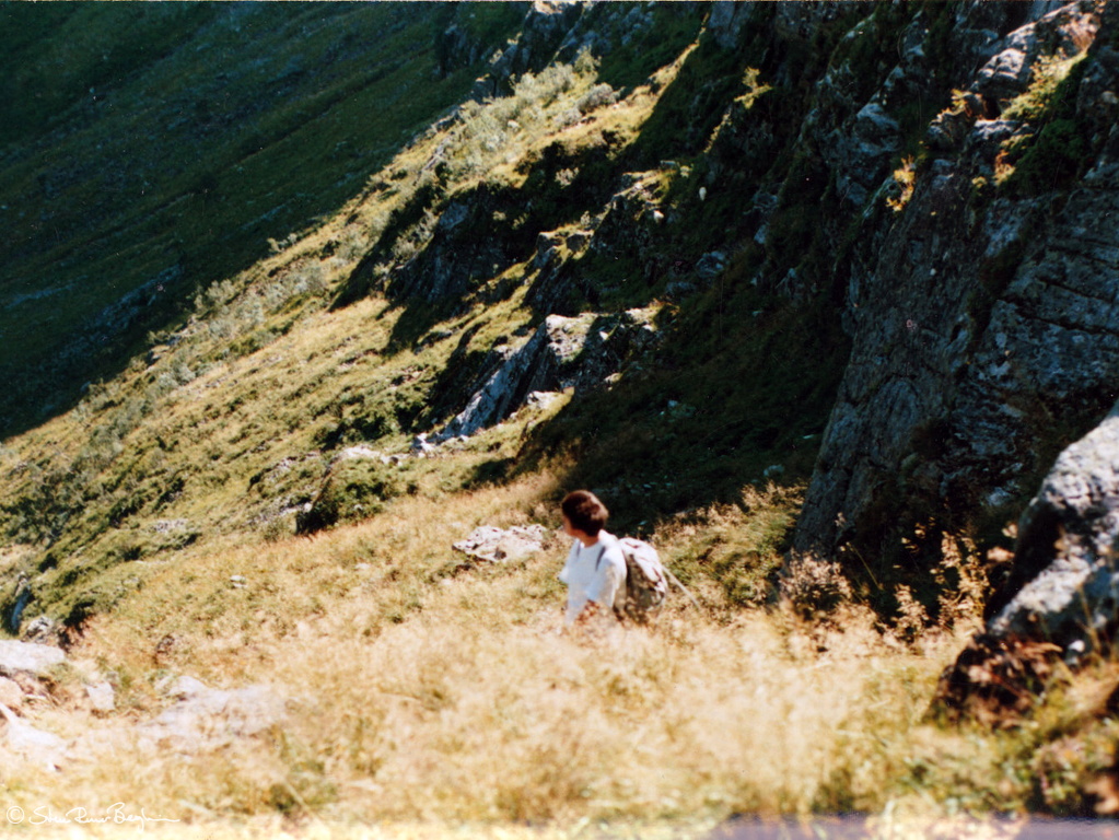 Scan-6