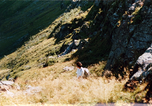 Scan-6