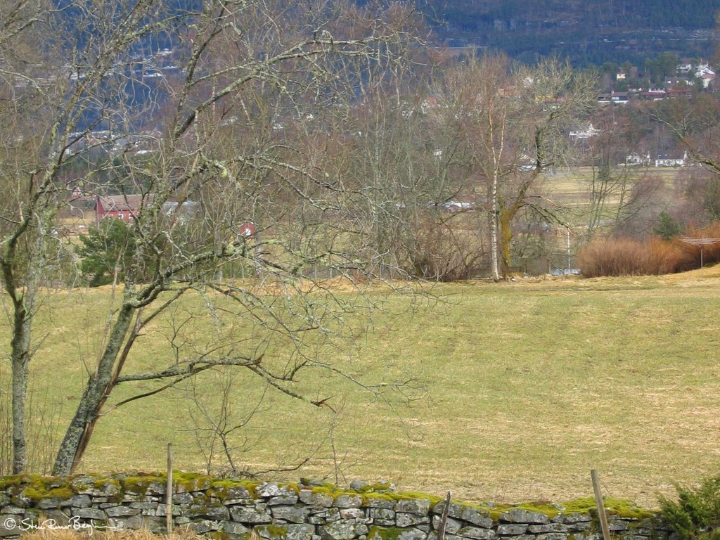 IMG 8630