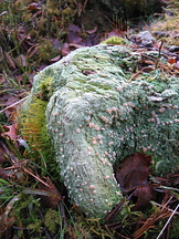 IMG 8647