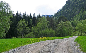 IMG 8964 copy