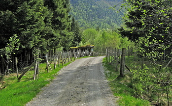 "Sauegeila", road leading through sheep pen 