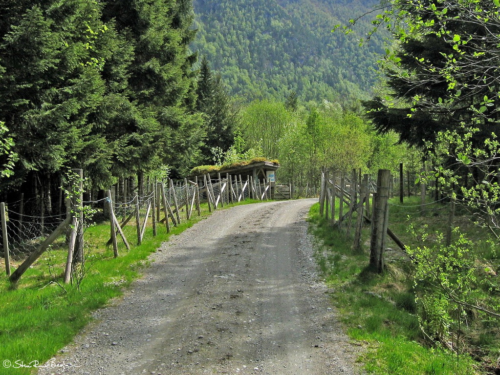 "Sauegeila", road leading through sheep pen 