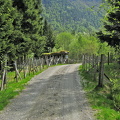 "Sauegeila", road leading through sheep pen 