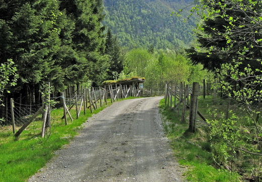 "Sauegeila", road leading through sheep pen 