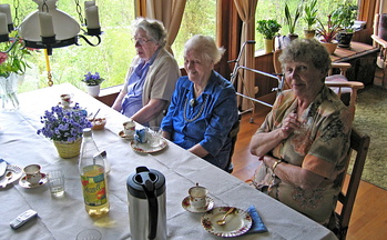 IMG 9004 copy